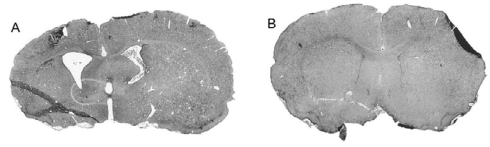 97¹ú¼Ê¡¤(ÖйúÇø)¼¯ÍŹٷ½ÍøÕ¾